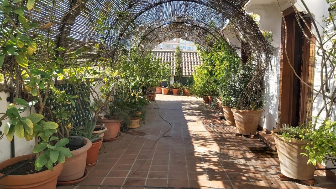 El Jardin De Wallada قرطبة المظهر الخارجي الصورة